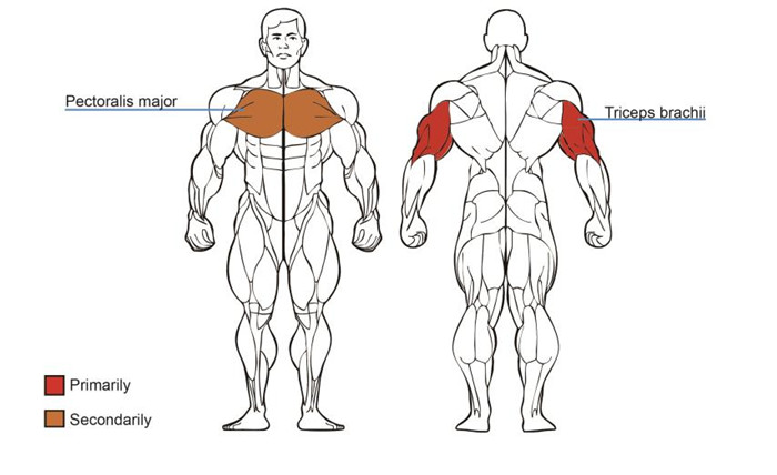 Tricep Press Machine For Sale