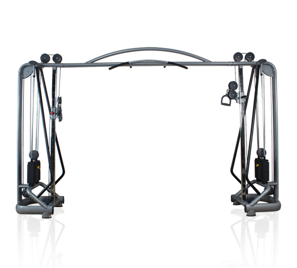 大飛鳥，龍門架健身