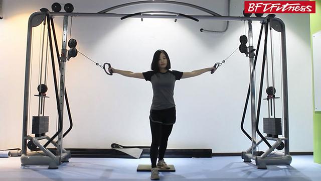 大飛鳥訓(xùn)練器